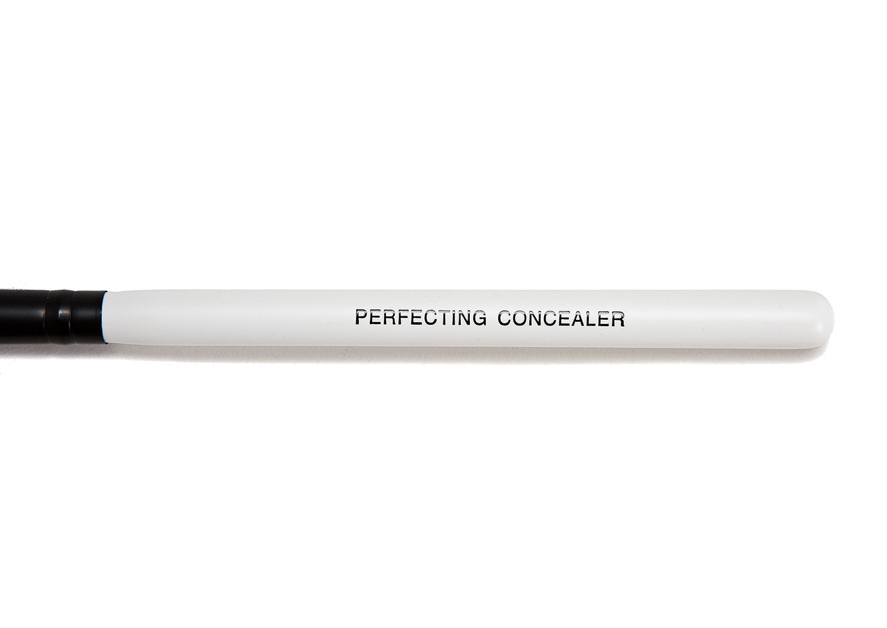 Pro Range Perfecting Concealer Brush
